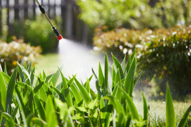Tamper-Resistant Bait Stations for Rodents in Mineville
