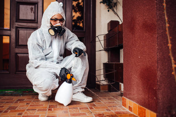 Attic and Crawl Space Rodent Treatment in Mineville